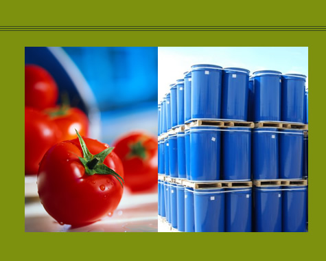 Aseptic / Bulk Tomato Paste